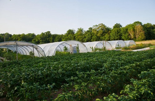 Troussures Autre | Le Camping de Ma Petite Ferme