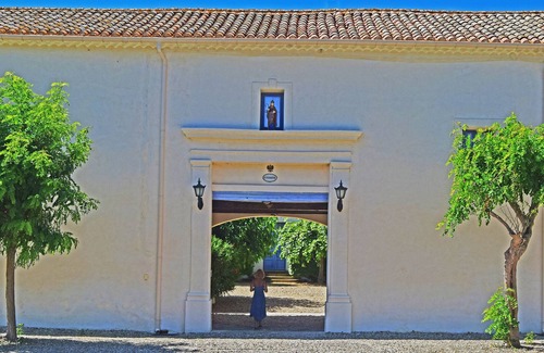 Nizas Villa | Le Caveau DOMAINE SAINT FERREOL