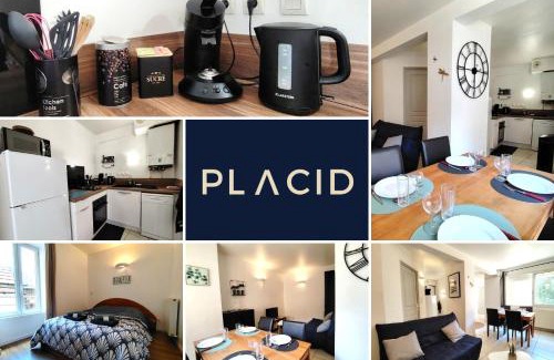 Gap Appartement | Le central - WIFI - hyper centre