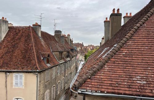 Dole Appartement | Le Chat Hyper Centre Dole