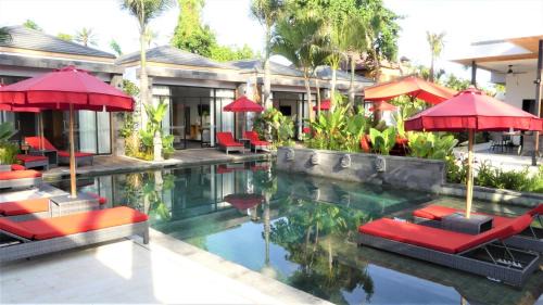 Lovina Hôtel | Le Chien Rouge