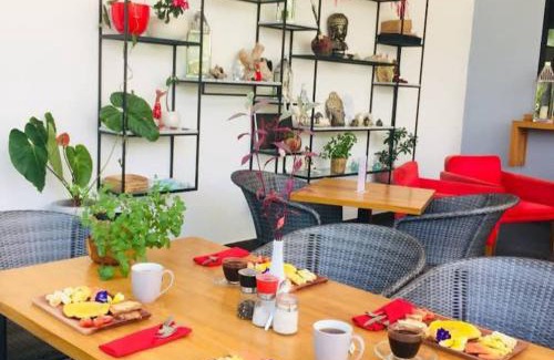 Lovina Hôtel | Le Chien Rouge