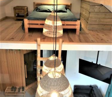 Boissy-Saint-Leger Appartement | LE CHILL Suite & SPA (Jacuzzi et Sauna privés)