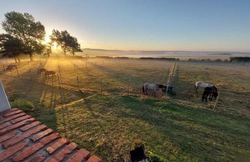 Caffiers Maison | Le Clos de l'Angley Gîtes et Écurie