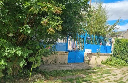 Andonville Maison | Le clos de la rose trémière