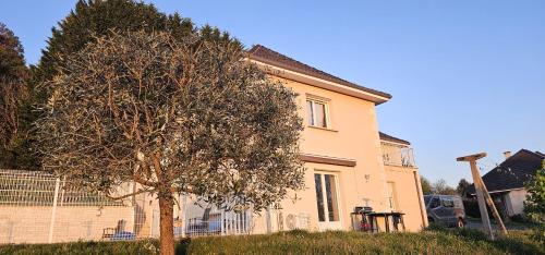 Beynat Appartement | Le Cocon de Beynat - 1 Chambre