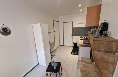 Besancon Old Town Appartement | Le cocon