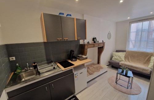 Besancon Old Town Appartement | Le cocon
