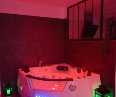 Epernay Maison | Le CoEuR du ViGnObLe Capacité 16 personnes max Venez partager un moment agréable en famille amis couples jeux Pétanque jacuzzi