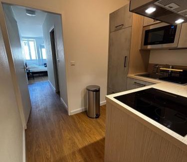 La Roche-sur-Foron Appartement | Le Color - renovated - modern - city center