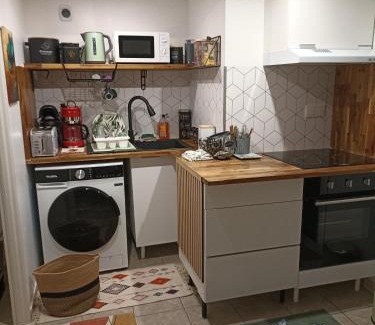 Saint-Maurice-de-Beynost Appartement | Le Cosy chic