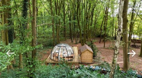 Champion Autre | Le Dôme de Namur - Une nuit insolite dans les bois