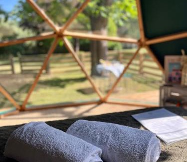 Moisson Autre | Le dôme en seine, proche Giverny