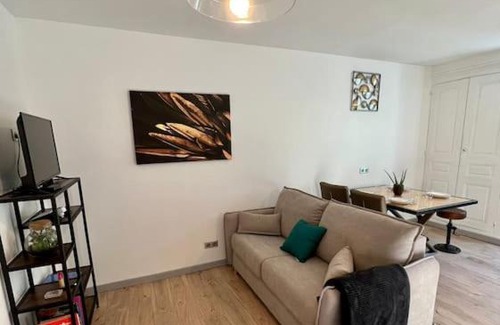 Bourgoin-Jallieu Appartement | Le Dauphin - Appartement chaleureux proche Gare de Bourgoin