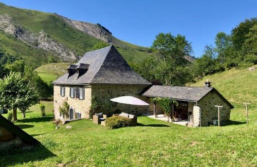 Arrens-Marsous Villa | Le Domaine de Castille - chalet pyrénéen de charme - spa de nage