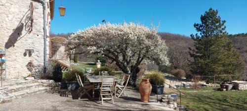 Sault Maison | Le Domaine de Piedmoure, Gîtes et chambres, piscine, terrasses privatives