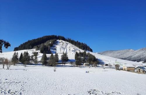 Autrans Appartement | le face au tremplin Appartement 5 pers entièrement rénové dec 2022 classé meublé de tourisme 3 étoiles emplacement unique a Autrans proche du village prestations de qualité