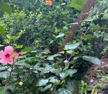 Pointe-Noire Maison | Le Filao