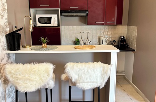 Epernay Appartement | Le Flodoard Chic, centre-ville