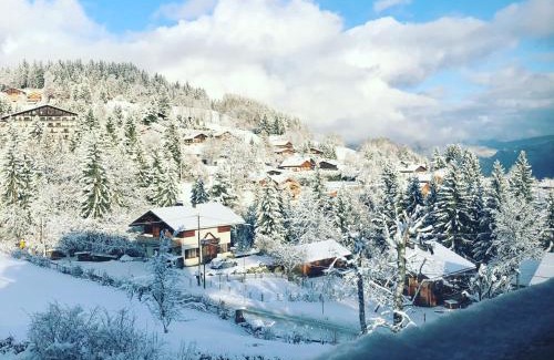 Combloux Appartement | Le Floralp