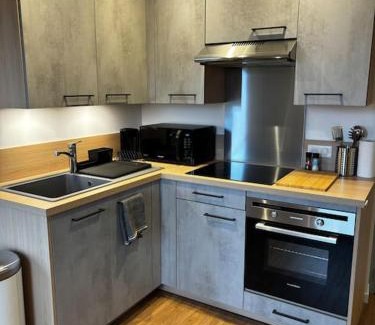 La Roche-sur-Foron Appartement | LE FONTAINE aux portes du village avec parking