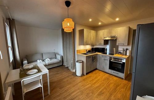 La Roche-sur-Foron Appartement | LE FONTAINE aux portes du village avec parking