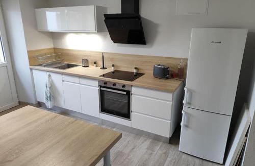 Scey-sur-Saone-et-Saint-Albin Appartement | Le sceycolais Appartement spacieux avec terrasse