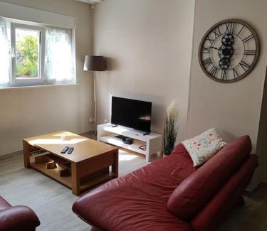 Scey-sur-Saone-et-Saint-Albin Appartement | Le sceycolais Appartement spacieux avec terrasse