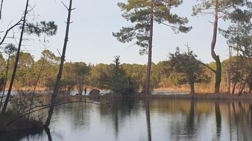 Hostens Maison | Le Gîte du Lac d'Hostens