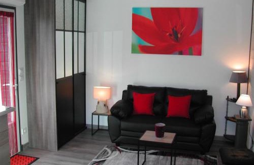 Castelnau-d'Estretefonds Appartement | le gite de léonard