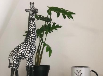 Louviers Maison | LE GITE DE LA GIRAFE CENTRE VILLE LOUVIERS