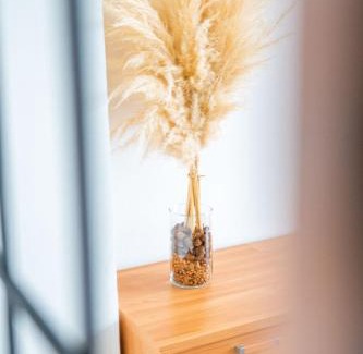 Le Havre Appartement | Le Grand Cocon LH Docks Vauban