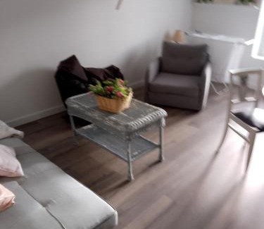 Montbrison Appartement | Le grand plein centre