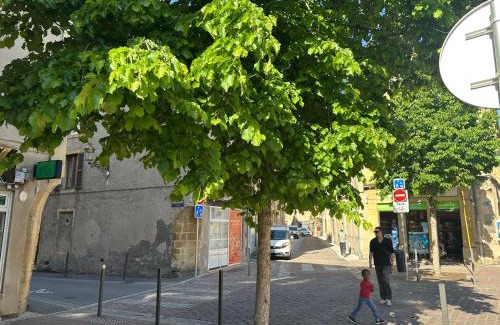 Metz-Centre – Ancienne Ville Appartement | Le Graoully