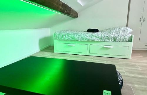 Metz-Centre – Ancienne Ville Appartement | Le Graoully