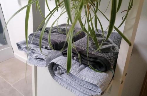 Chartres Appartement | Le Gustin