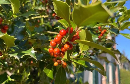 Saint-Remy-sur-Avre Maison | Le Jardin de François