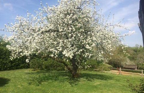 La Hulpe Lit Et Petit-Déjeuner | Le Jardin Des Sources