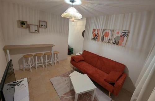 Orleans Appartement | Le joli petit Bannier T2 Neuf , Fibre