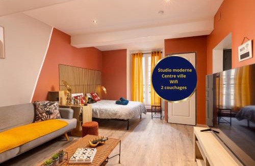Limoux Appartement | Le Limouxin jungle Wifi, petit balcon *Oc Keys