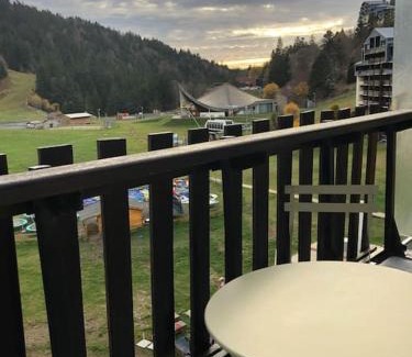 Laveissiere Appartement | Le Lioran, La Sumène, Studio balcon tout confort aux pieds des pistes