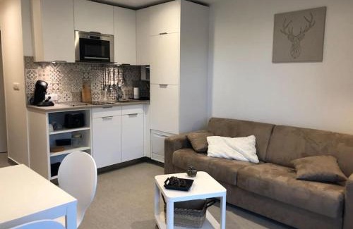 Laveissiere Appartement | Le Lioran, La Sumène, Studio balcon tout confort aux pieds des pistes