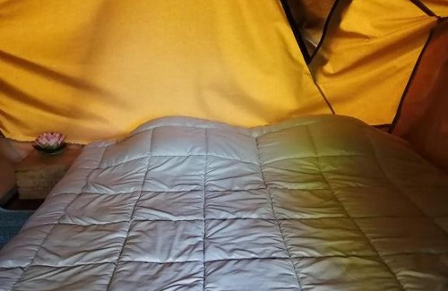 Nieurlet Autre | Le lodge de la Redoute