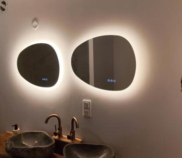 Bar-sur-Aube Appartement | Le loft