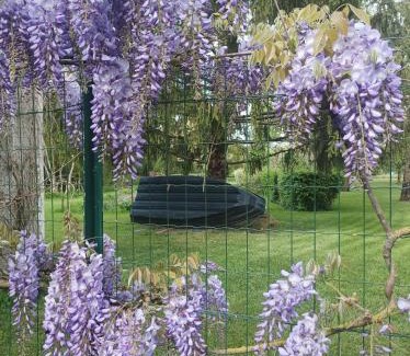 Saint-Hilaire-la-Palud Appartement | Le logis de LANGE apt Les Aigrettes