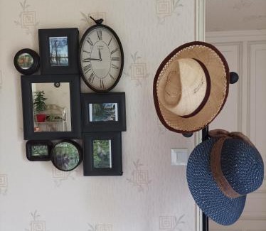 Saint-Hilaire-la-Palud Appartement | Le logis de LANGE apt Les Aigrettes