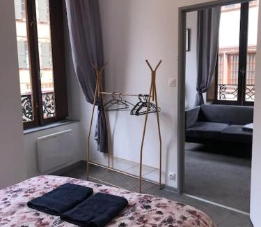 Belfort Appartement | Le Logis du Lion - centre historique Belfort