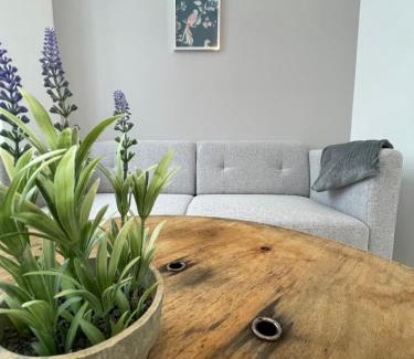 Saint-Jean-d'Angely Appartement | Le Lussaut