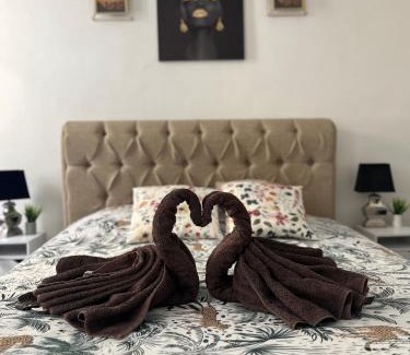 Blancarde Appartement | « Le Madeleine »
