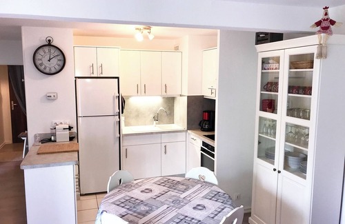 Quartier Saint-Leon Appartement | « LE MANALA » meublé de charme 3* à Colmar grande terrasse, parc & parking privé